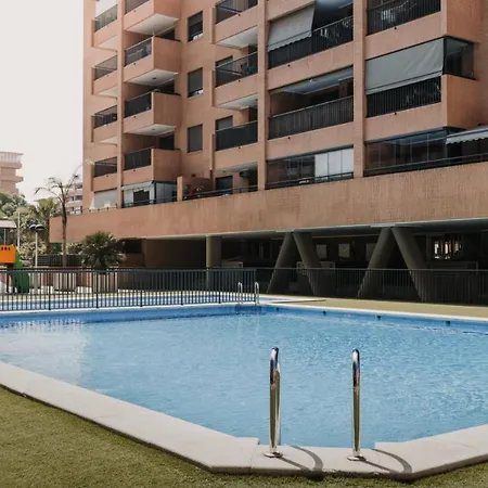 Patacona *